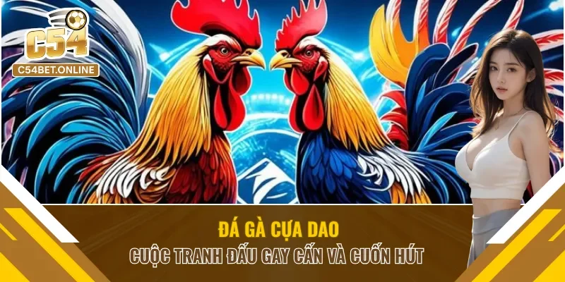 Đá Gà Cựa Dao