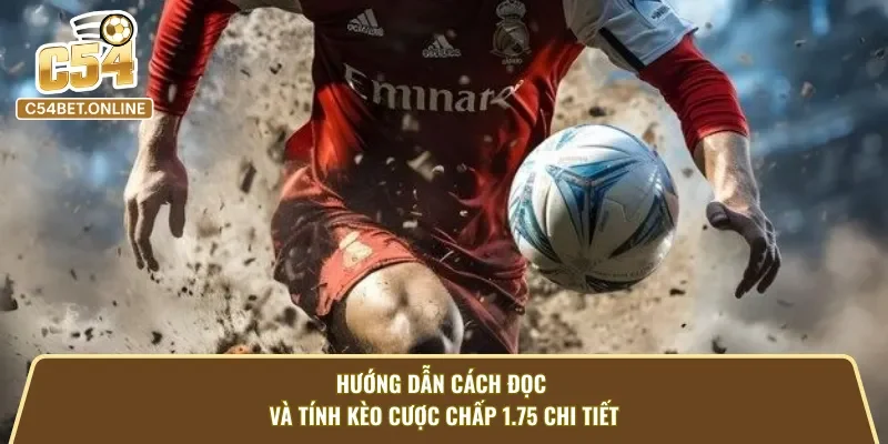 Hiểu cách đọc kèo chấp 1.75 giúp nâng cao tỷ lệ thắng