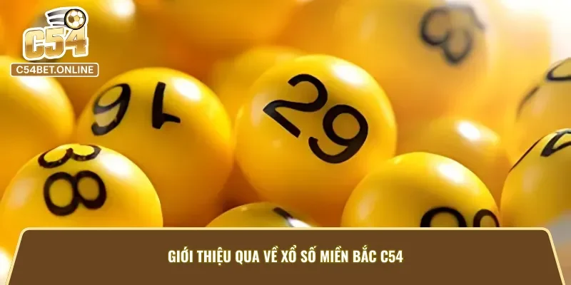 Khái quát về loại hình xổ số hấp dẫn tại C54
